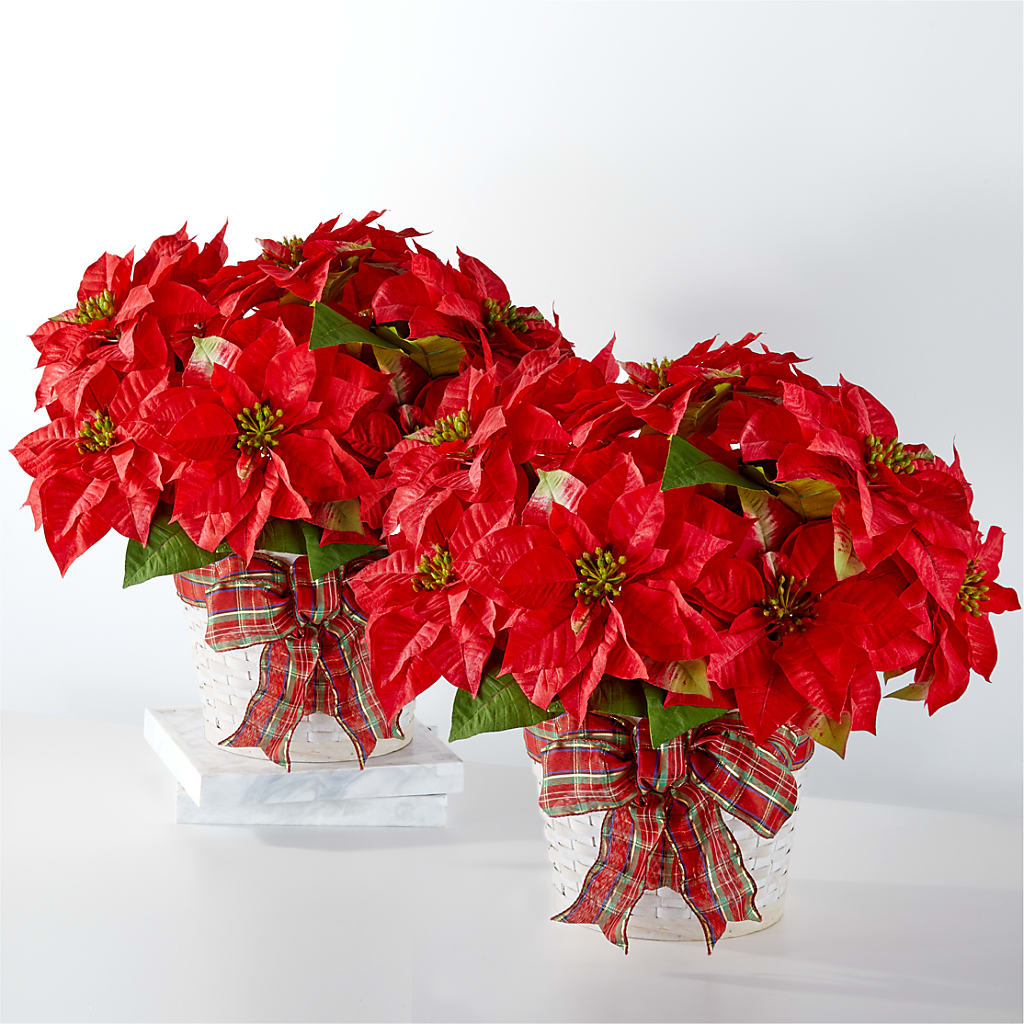 Happiest Holidays Poinsettia Bundle – Miles Of Flowers, Dothan AL