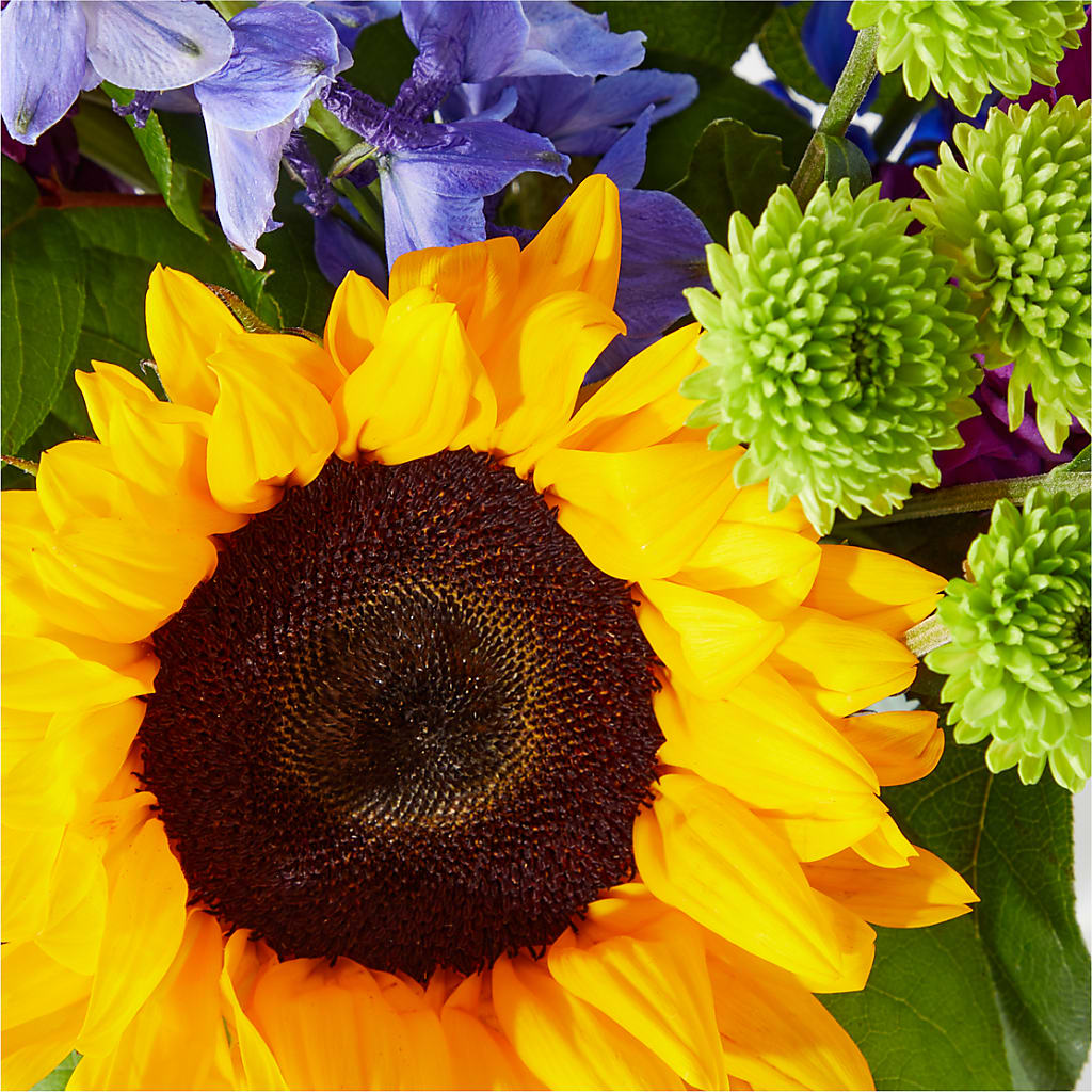 Catching Rays Bouquet – Miles Of Flowers, Dothan AL