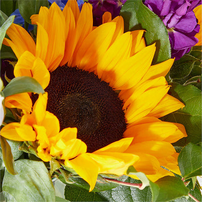 Catching Rays Bouquet –  Miles Of Flowers, Dothan AL