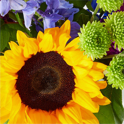 Catching Rays Bouquet –  Miles Of Flowers, Dothan AL
