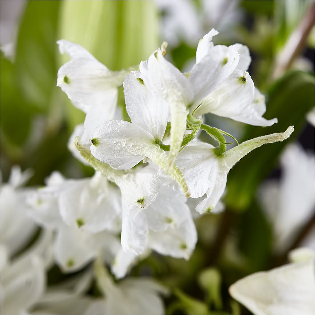 Classic Ivory – A Florist Original –  Miles Of Flowers, Dothan AL